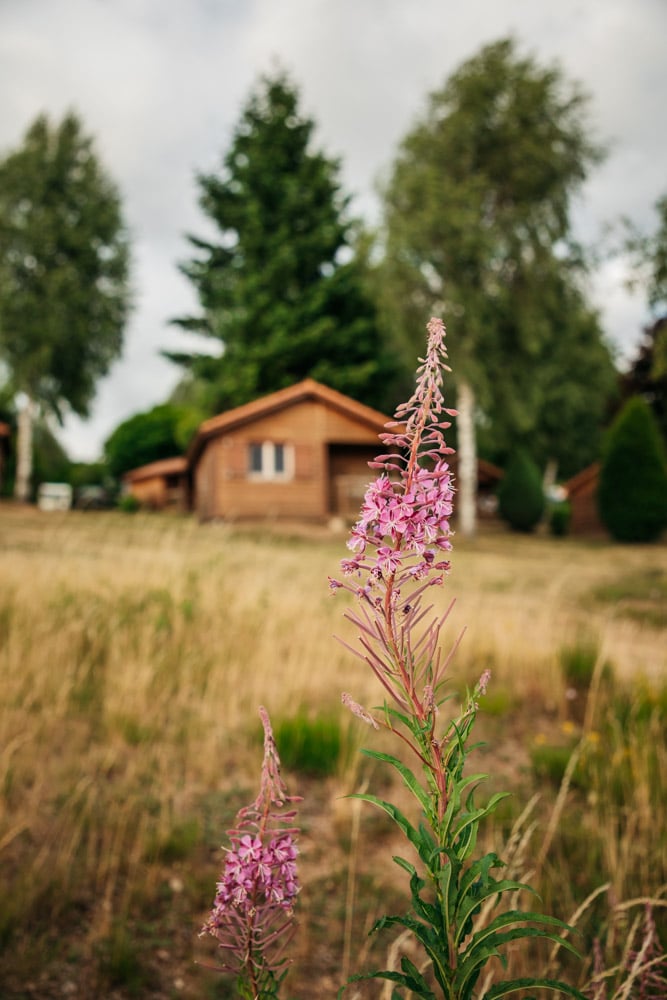 chalet à louer camping lac de Lozère