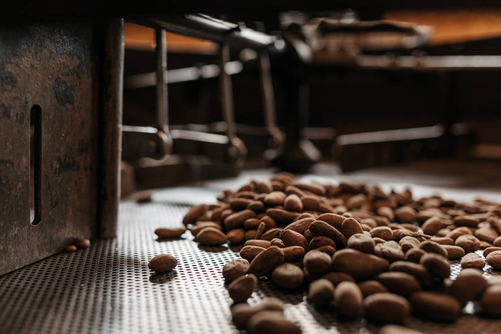 torréfacteur chocolatier Lozère