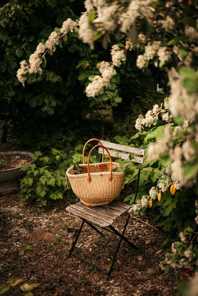 bonnes adresses authentiques en Champagne