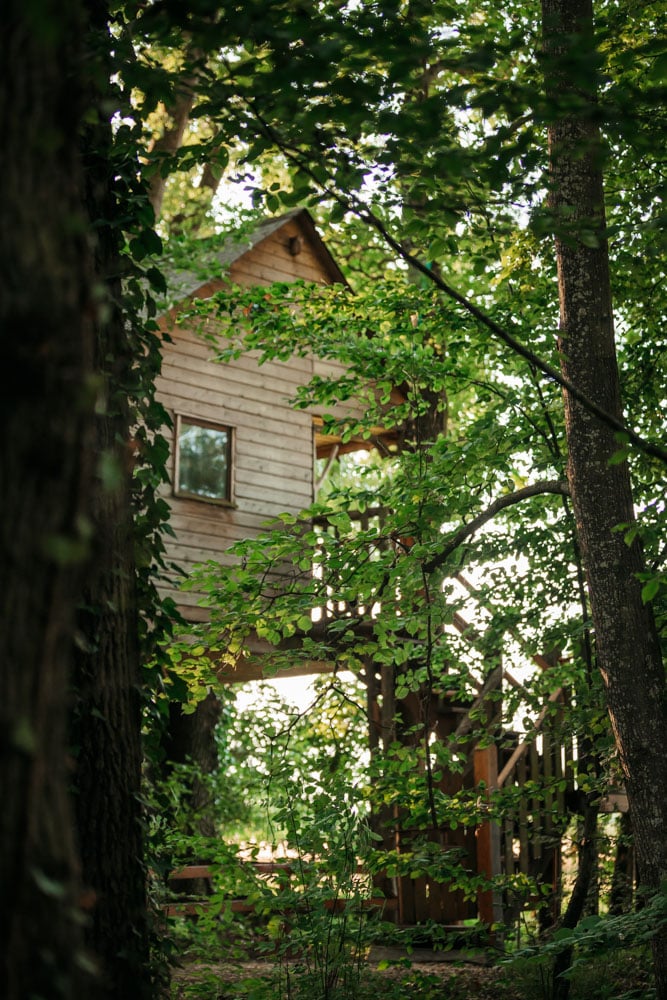 cabane perchée lac du Der