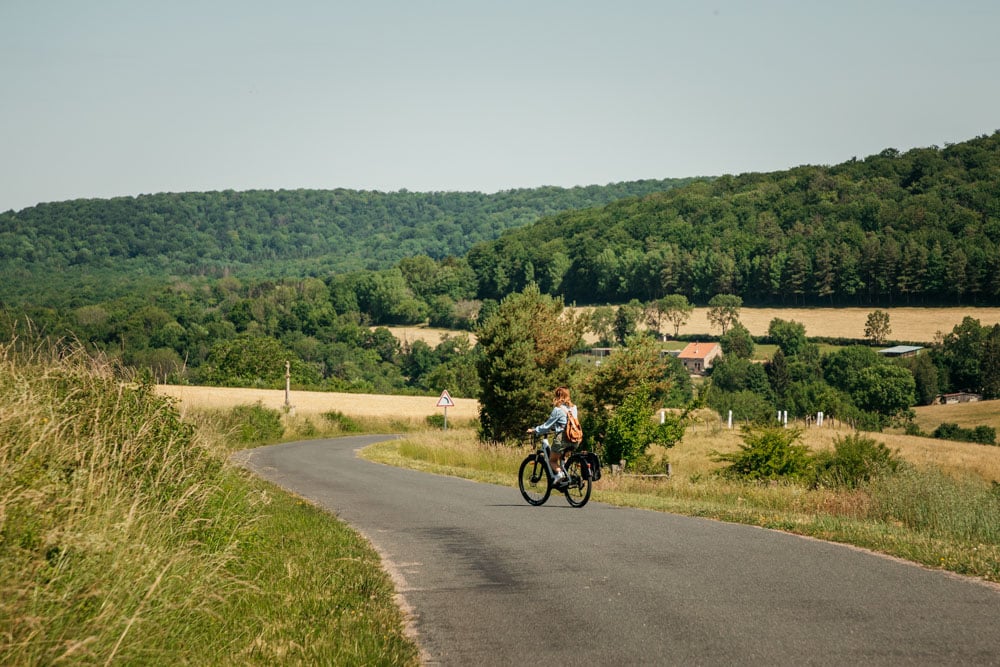 découvrir le parc national de forêts en Champagne