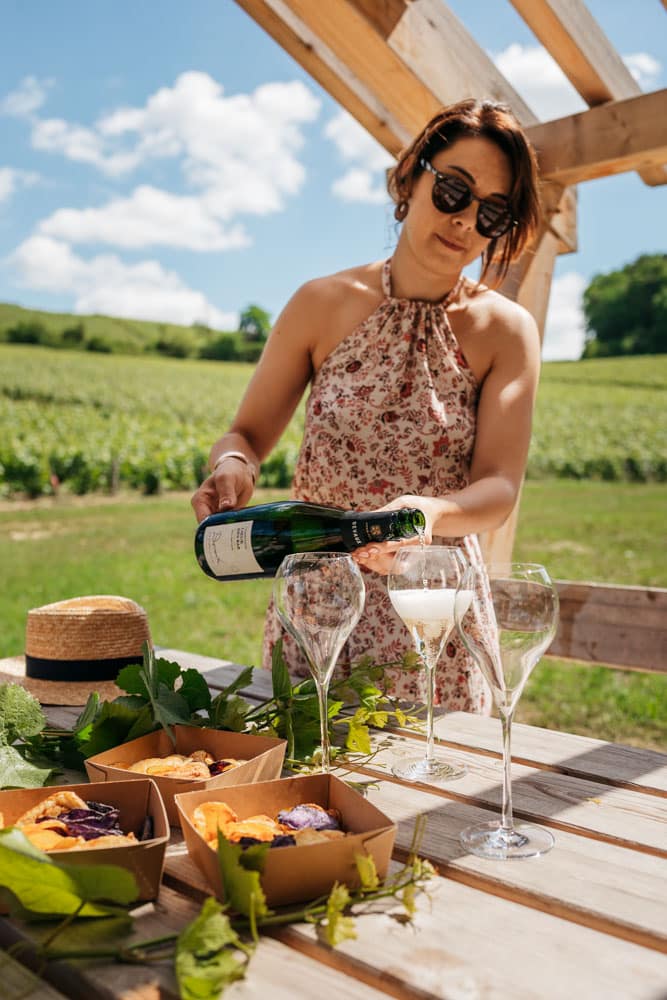 dégustation de champagne dans les vignes Côte des Bar