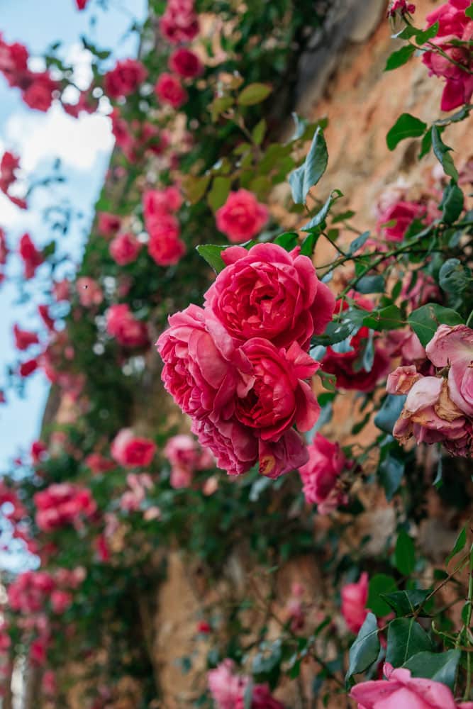 escapade en amoureux en Champagne