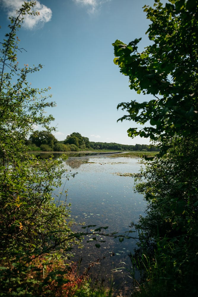 lac du Der Chantecoq