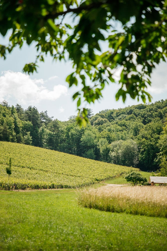 ou aller déguster du champagne en Côte des Bar