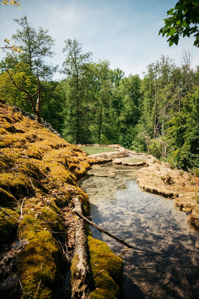 que faire en Champagne nature