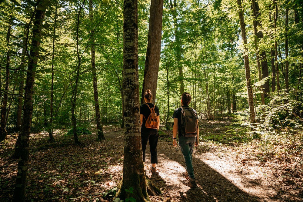 quel sentier randonnée parc naturel des lacs de Champagne