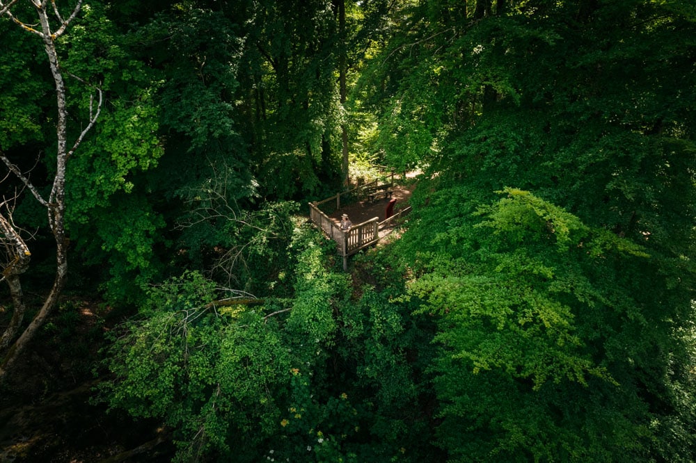 randonnées parc national de forêts