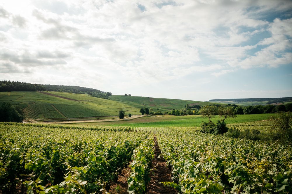 route touristique du Champagne