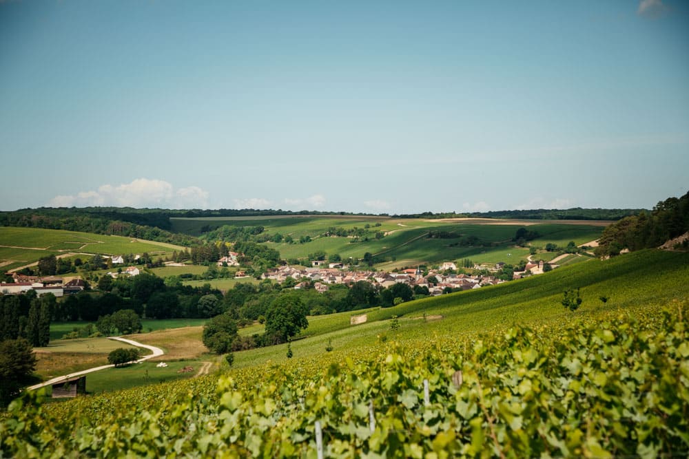 vignobles de Champagne