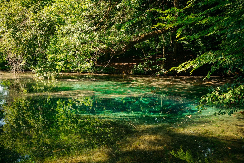 voir source bleue proche Joinville