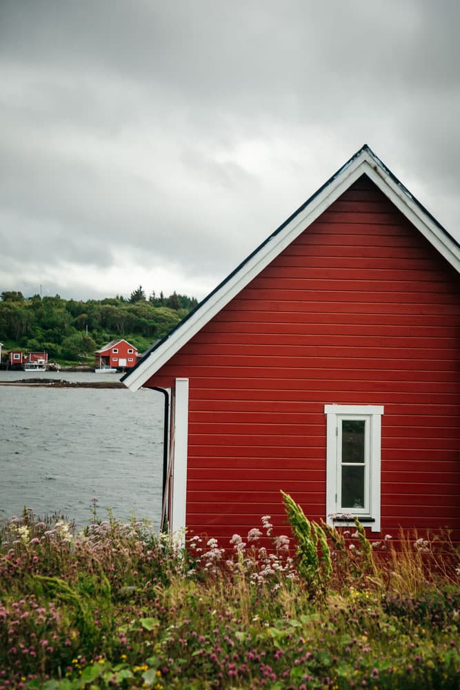 Norvège des fjords