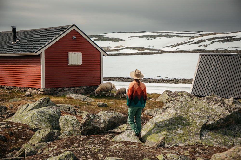 Norvège en 4x4 7 jours