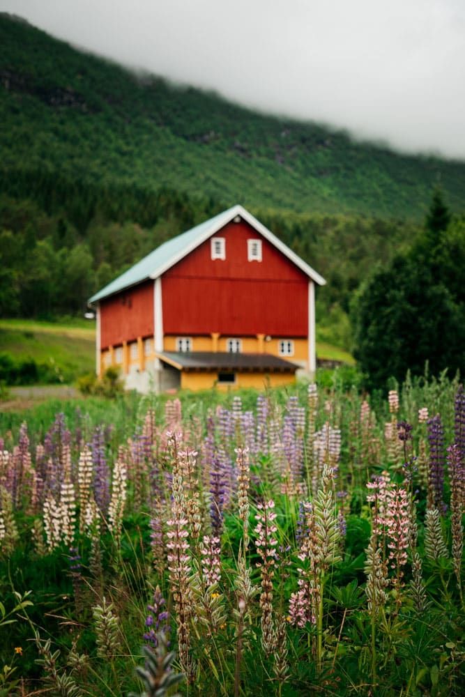 plus beau voyage en Norvège