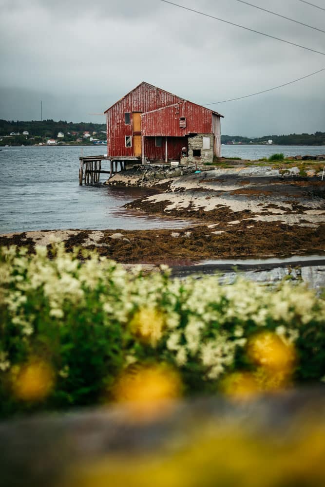 route du littoral Norvège