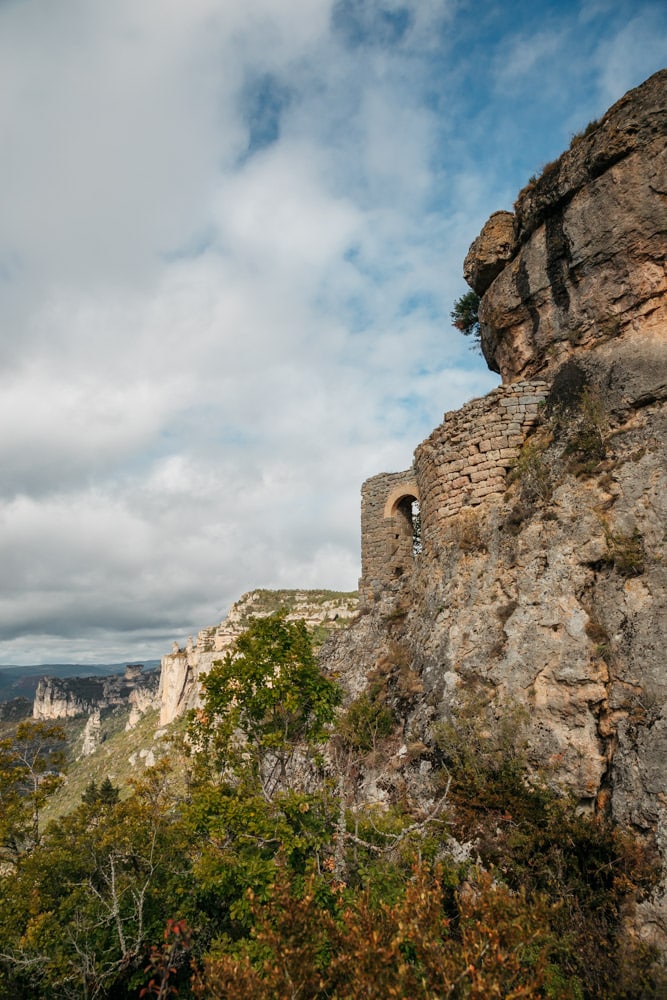 activités nature gorges du Tarn