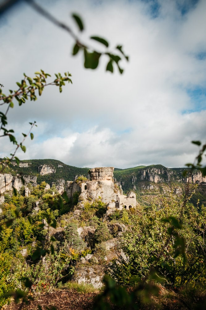 conseils blog voyage gorges du Tarn nature