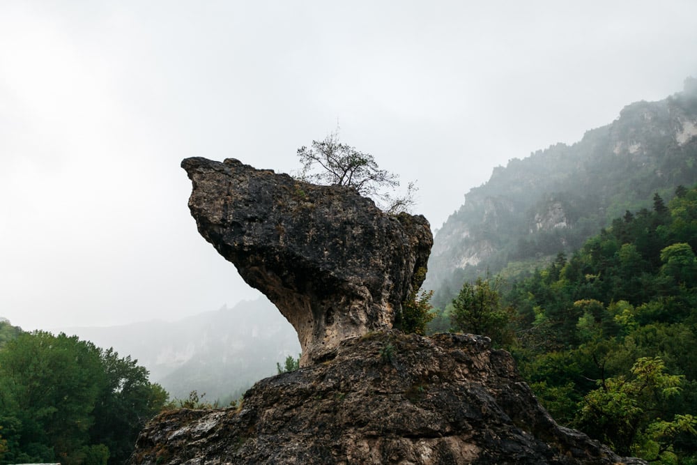 gorges du Tarn insolite en nature