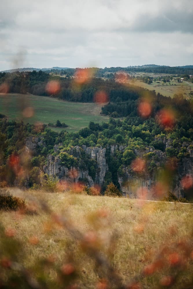 quelles randonnées gorges de la Jonte