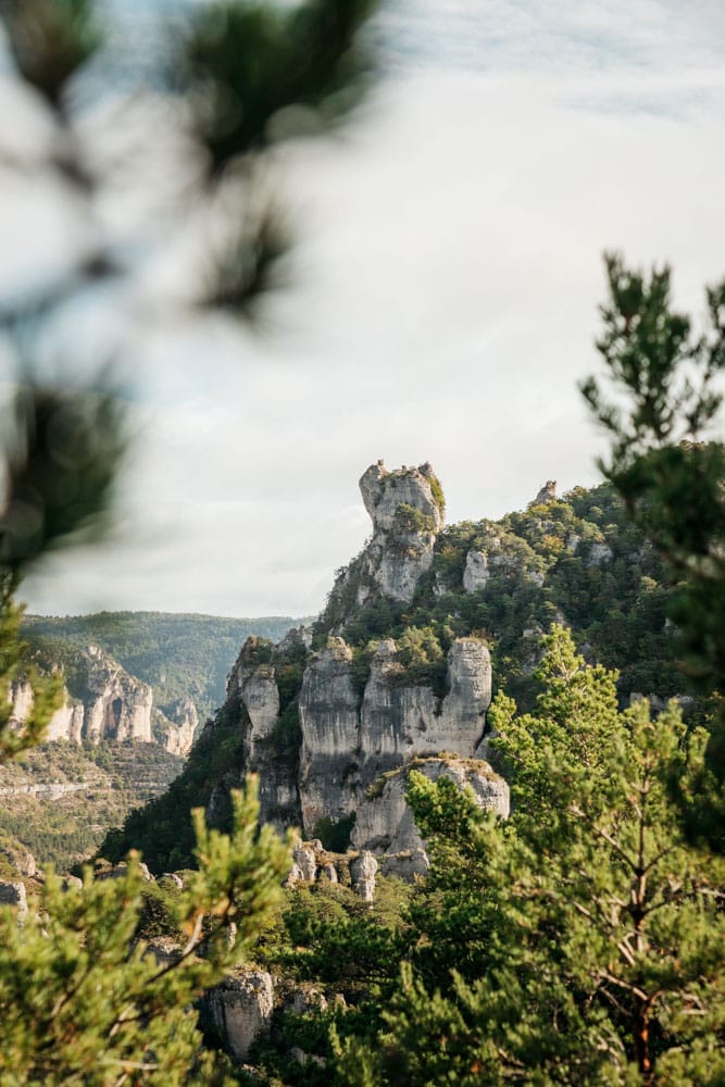 voir des rochers vases gorges de la Jonte