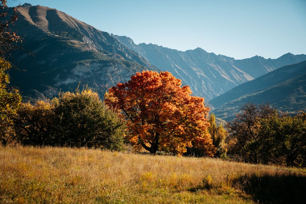 visiter Barcelonnette que faire voir