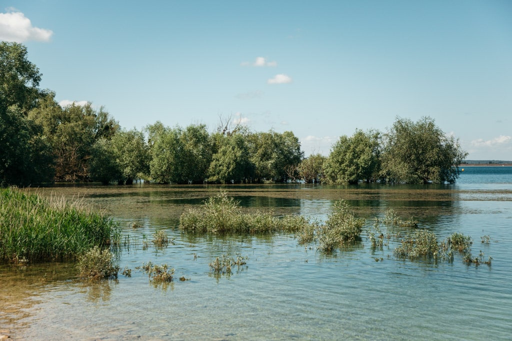 faire du canoë dans la forêt d'Orient