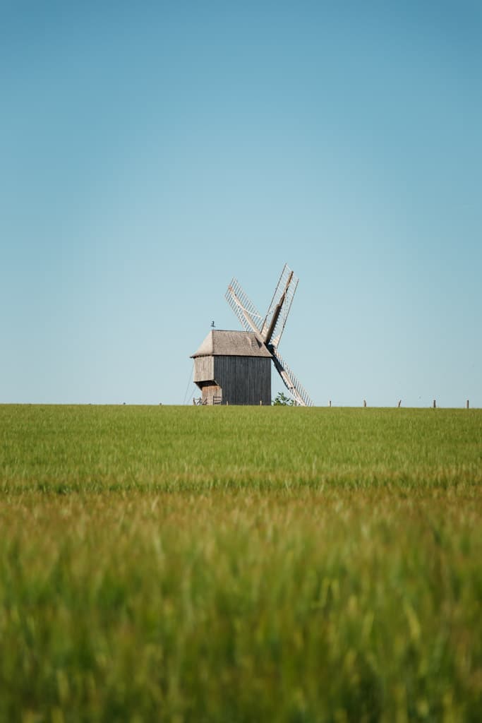 moulin de Dosches Aube