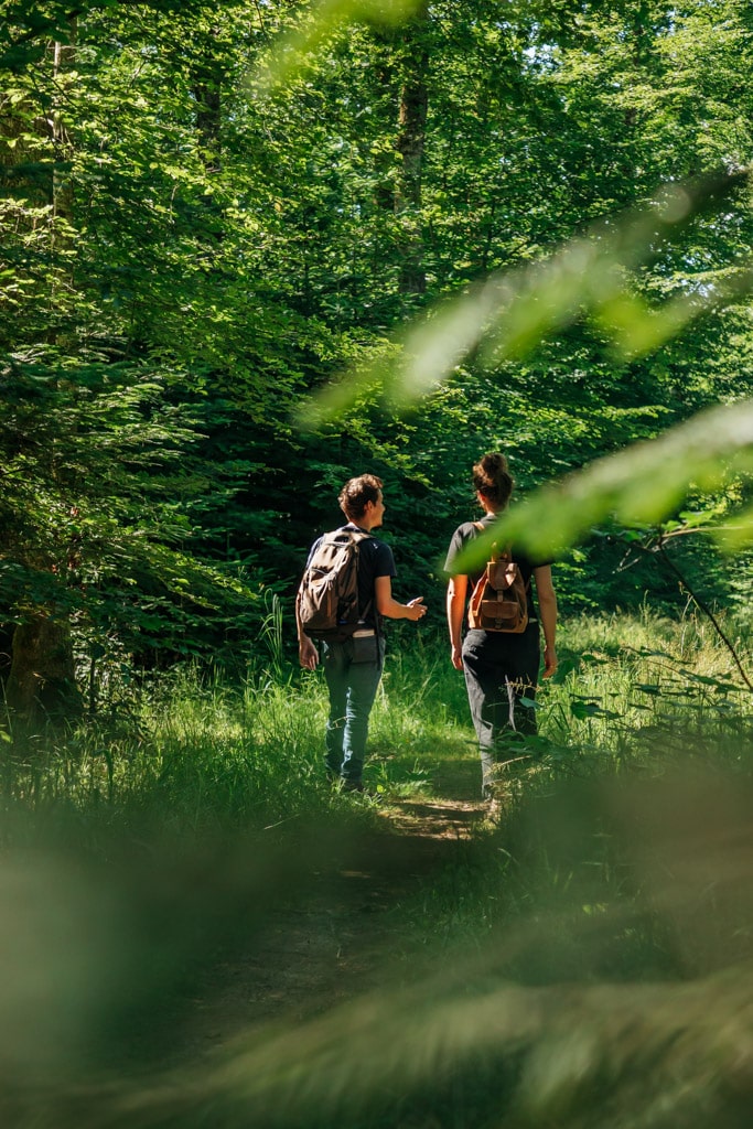 promenades forêt d'orient pnr Aube