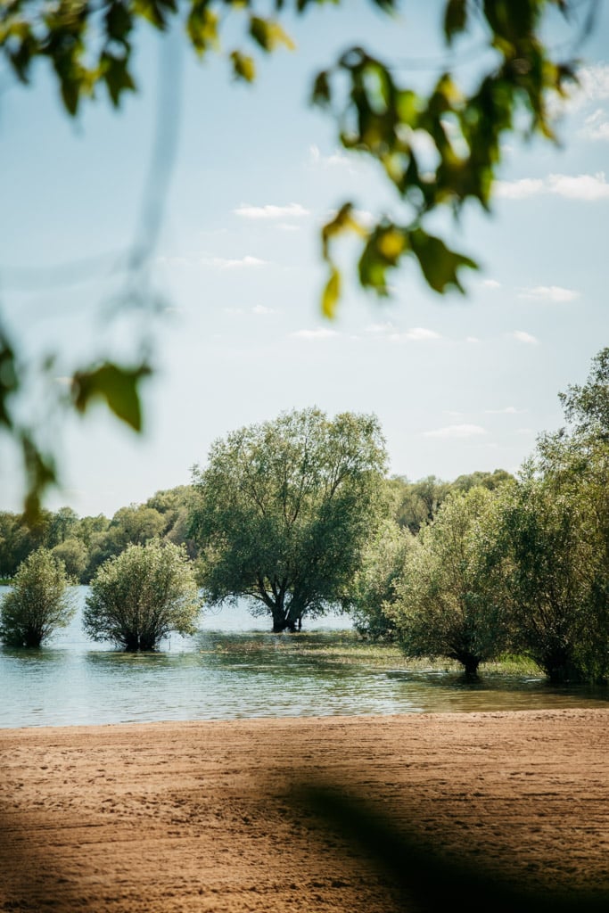 que faire dans l'Aube en vacances