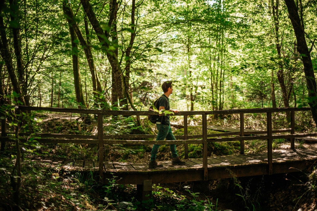 randonnée Forêt d'Orient Aube