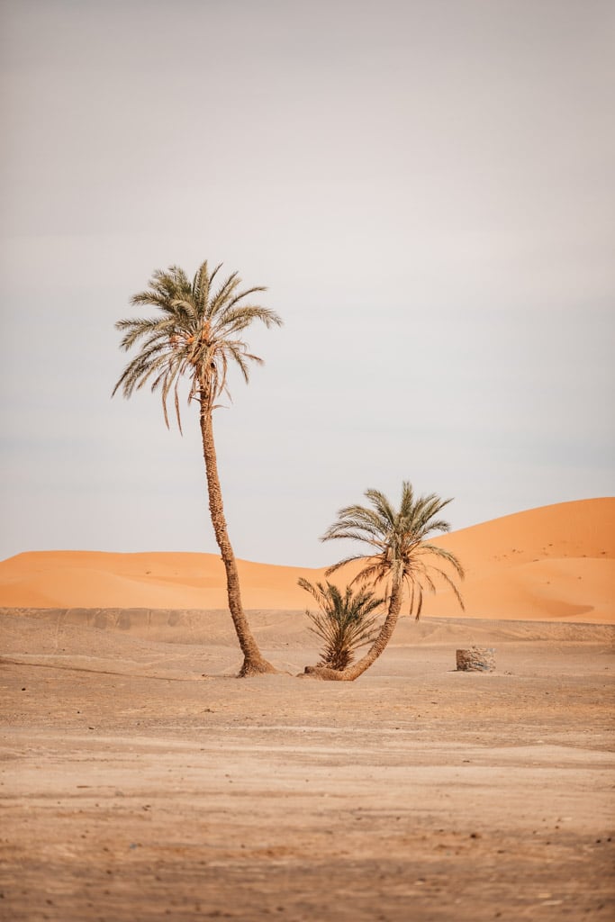trouver où dormir désert marocain