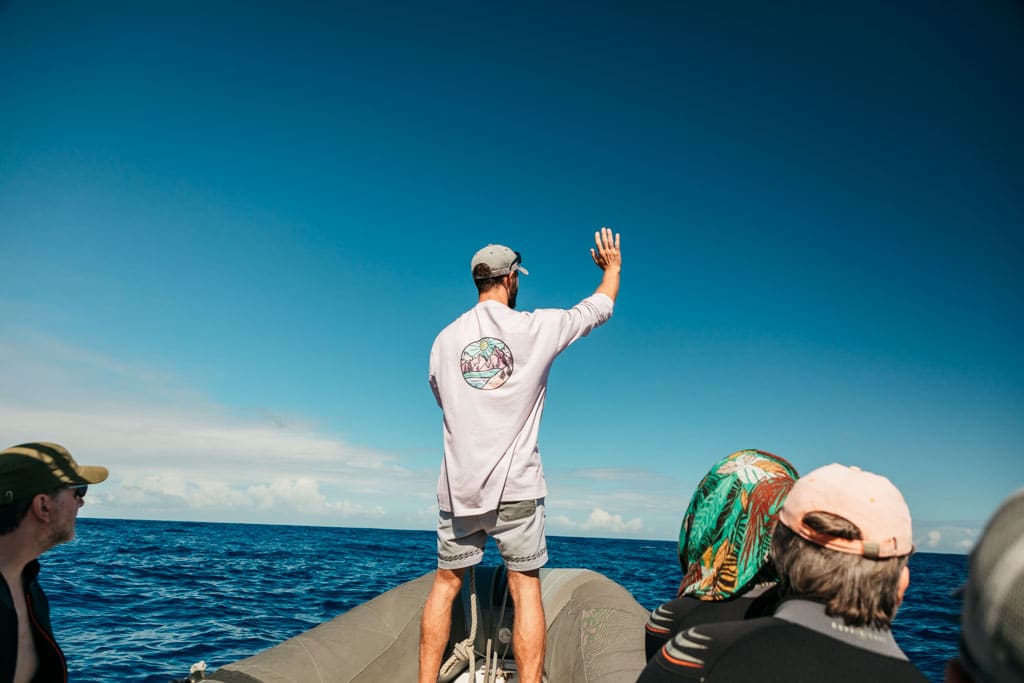 comment voir des dauphins à la Réunion