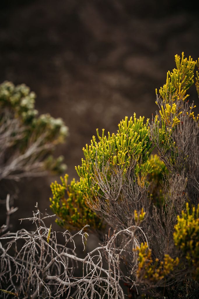 conseils rando Piton de la Fournaise