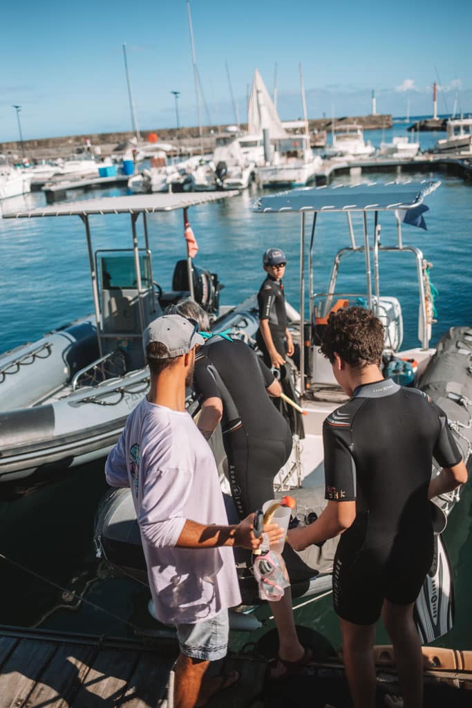 sortie en bateau pour voir des dauphins Réunion