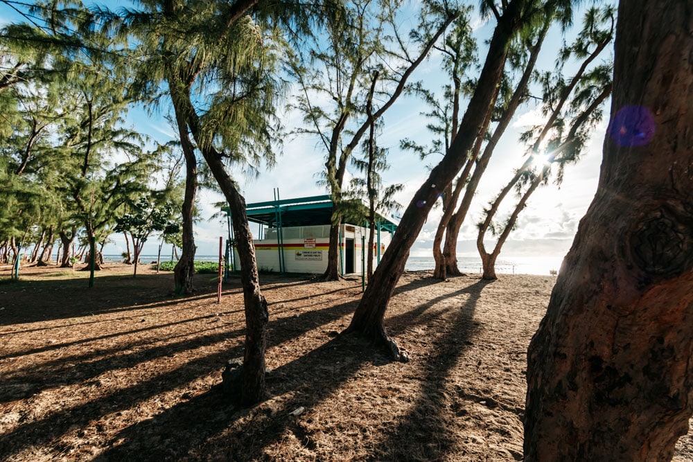 2 semaines à la Réunion