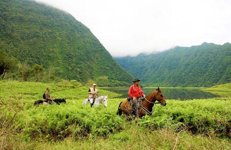 cheval ferme équestre du Grand Étang