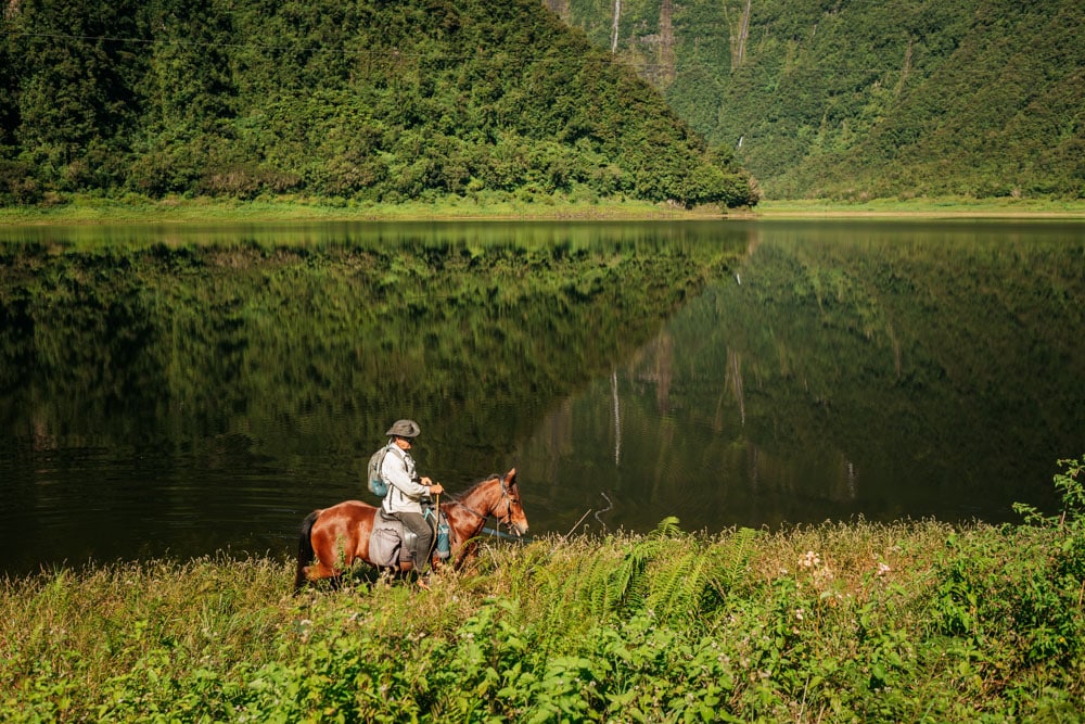 écurie équitation de loisirs Réunion