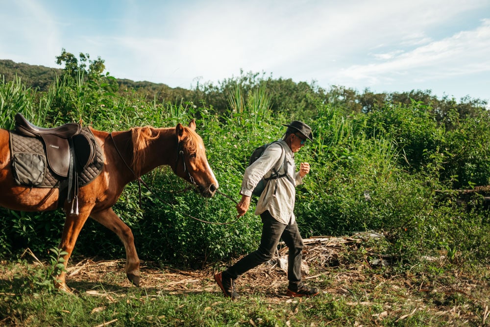 où faire du cheval à la Réunion