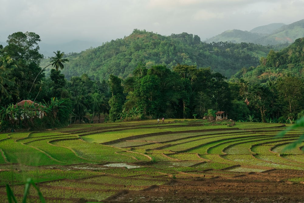 blog voyage Sri Lanka