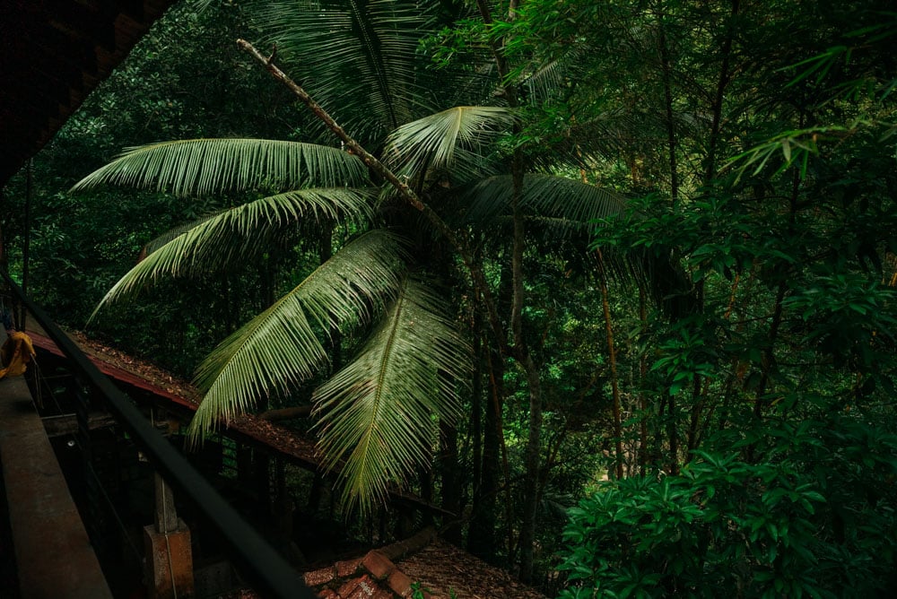dormir dans la jungle au Sri Lanka