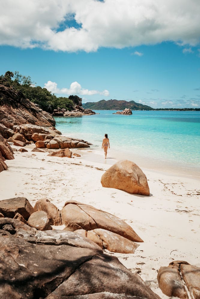 ile de la tortue Seychelles