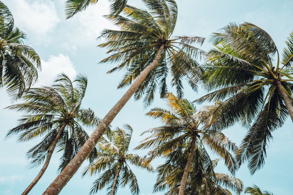 itinéraire plages et montagnes du Sri Lanka