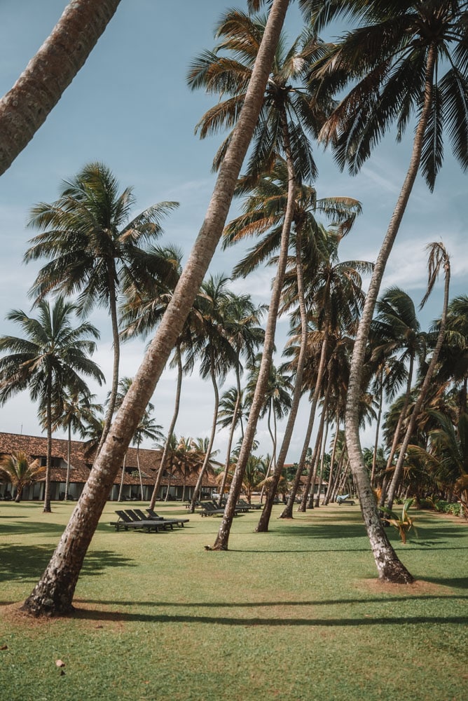 meilleur hôtel de côte Est Sri Lanka