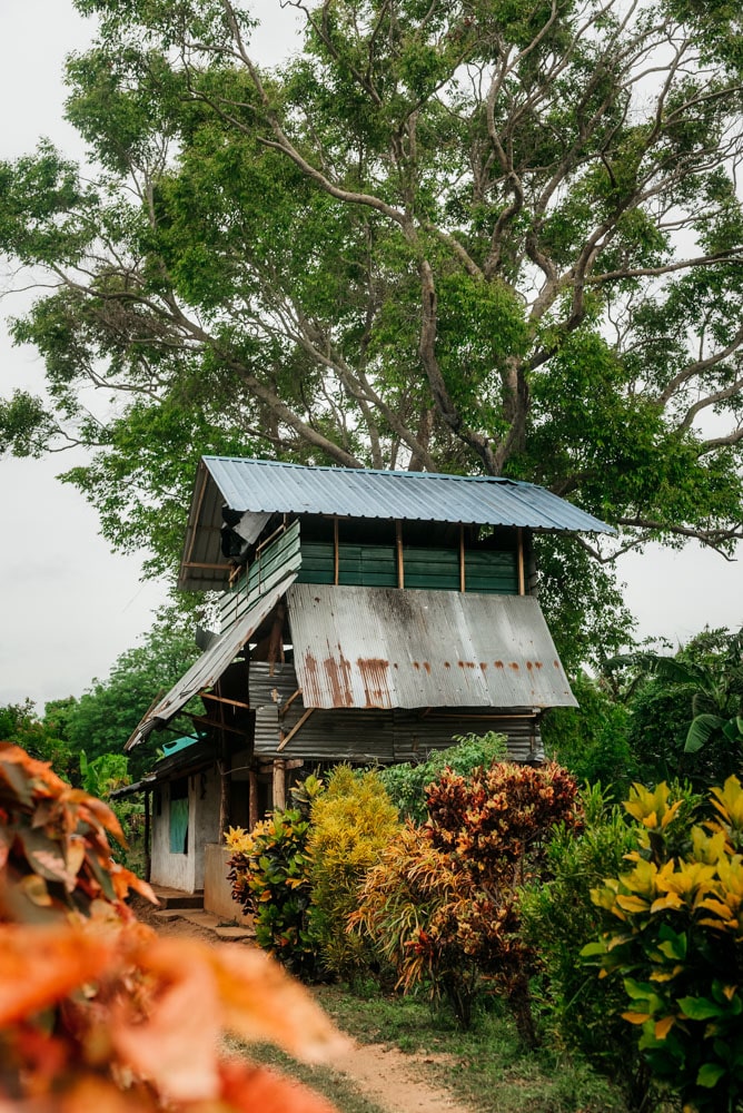 meilleures expériences en voyage au Sri Lanka