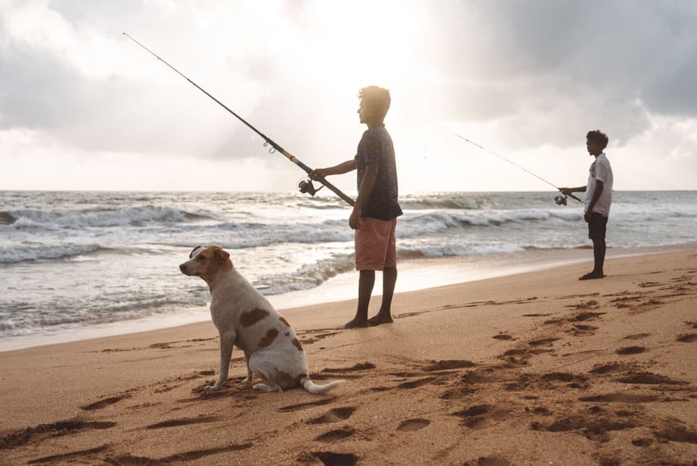 quelles plages de rêve au Sri Lanka