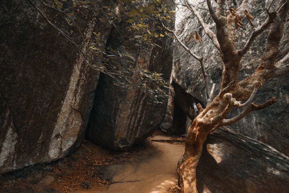 randonnée du Pidurangala Sigiriya