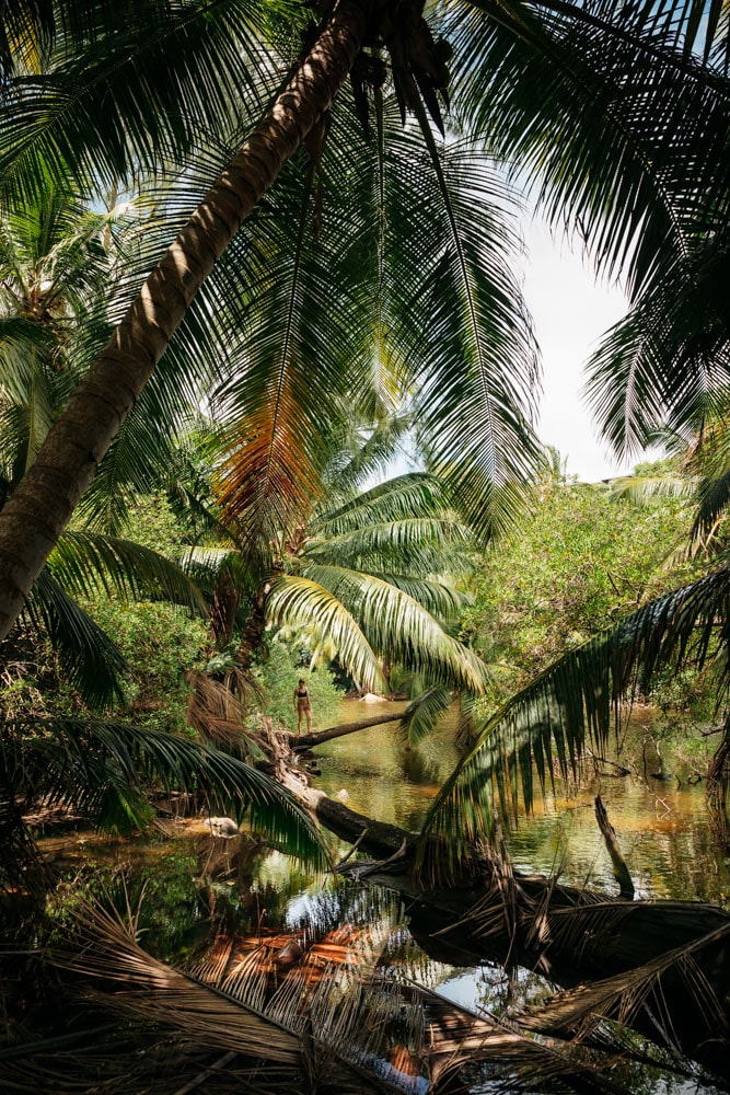 randonnées Seychelles Mahé