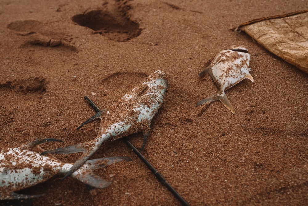 rencontre avec des pêcheurs à Bentota