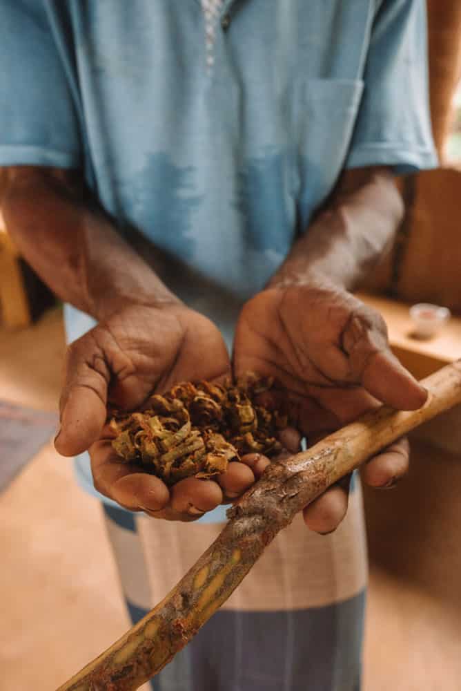rencontre avec un artisan producteur de cannelle au Sri Lanka