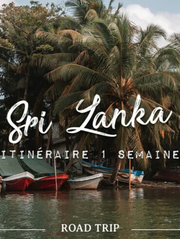 Sri Lanka en 1 semaine que faire